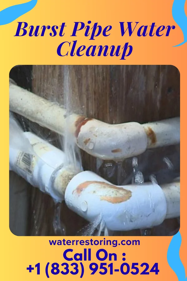 Burst Pipe Water Cleanup in Greenville, SC