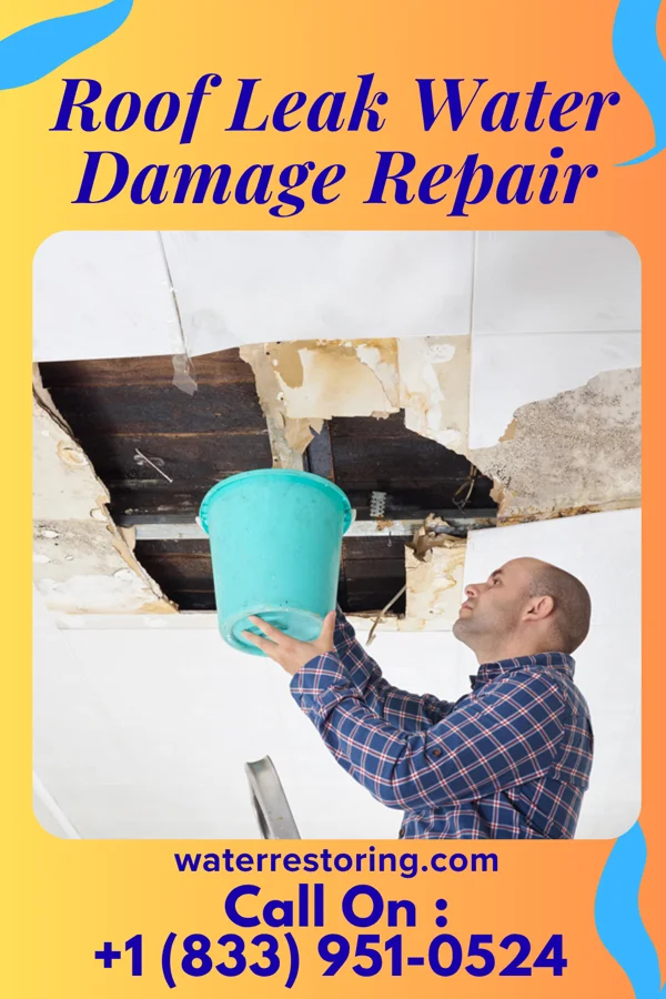 Roof Leak Water Damage Repair in Greenville, SC