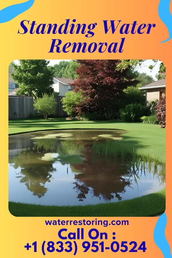 Standing Water Removal in Greenville, SC